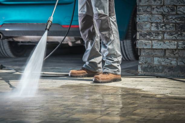 Best Soft Washing  in Surrey, ND